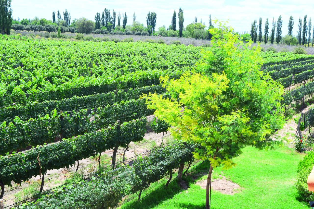 Chaglasian Wine & Suites San Rafael  Eksteriør bilde